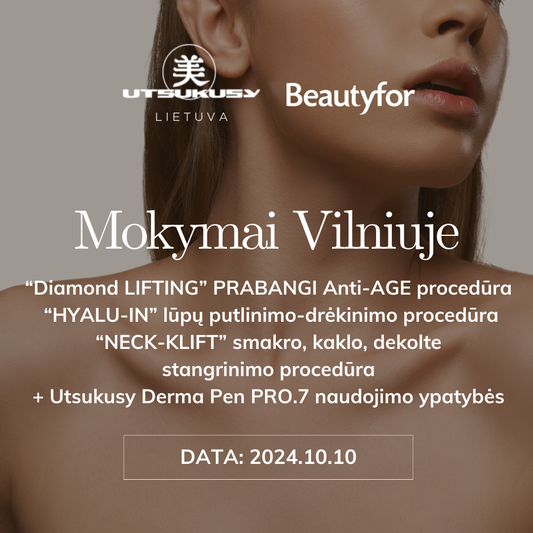 Mokymai Vilniuje 2024 10 10